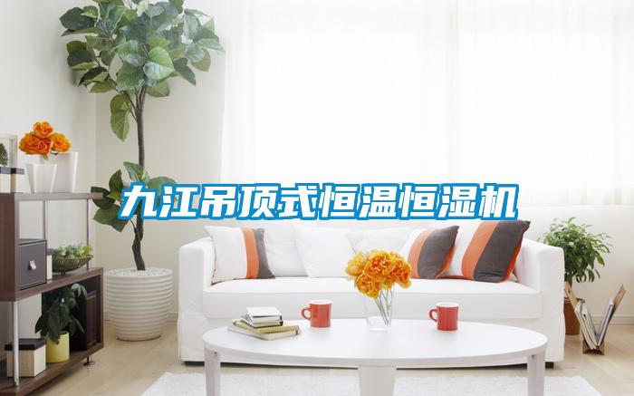 九江吊頂式恒溫恒濕機