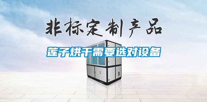 蓮子烘干需要選對設(shè)備