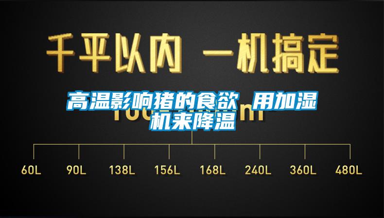 高溫影響豬的食欲 用加濕機來(lái)降溫