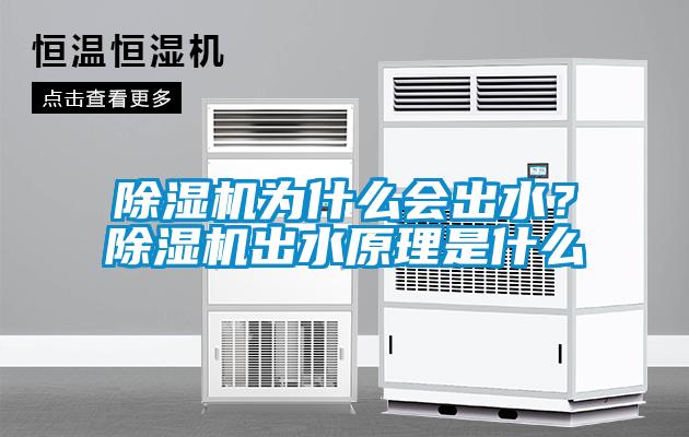 除濕機為什么會(huì )出水？除濕機出水原理是什么