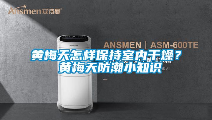 黃梅天怎樣保持室內(nèi)干燥？ 黃梅天防潮小知識(shí)