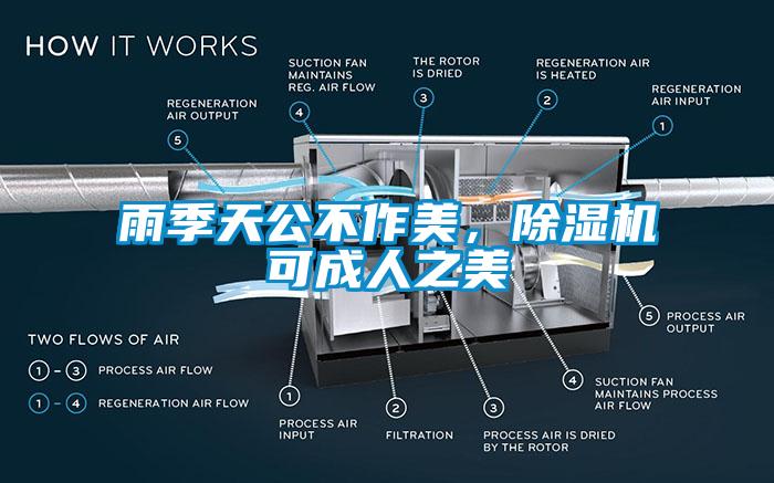 雨季天公不作美，除濕機可成人之美