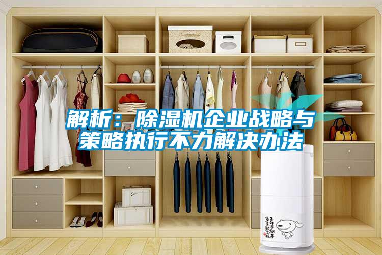 解析：除濕機(jī)企業(yè)戰(zhàn)略與策略執(zhí)行不力解決辦法