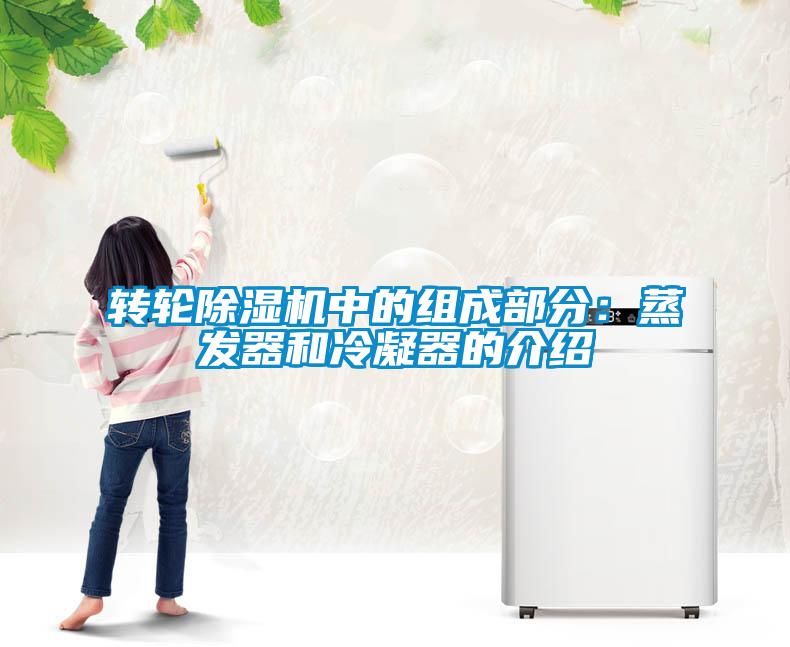 轉輪除濕機中的組成部分：蒸發(fā)器和冷凝器的介紹