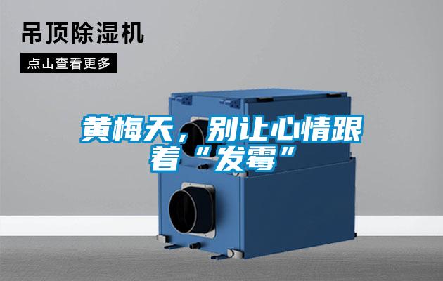 黃梅天，別讓心情跟著“發(fā)霉”