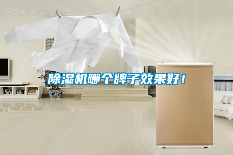 除濕機(jī)哪個牌子效果好！