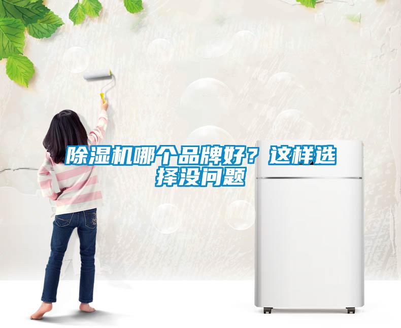 除濕機哪個(gè)品牌好？這樣選擇沒(méi)問(wèn)題