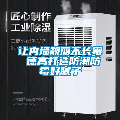 讓內墻靚麗不長(cháng)霉 德高打造防潮防霉好膩子