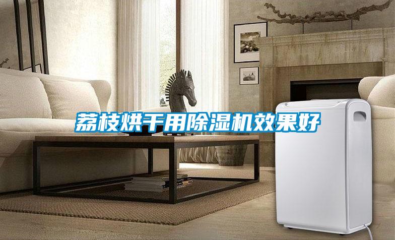 荔枝烘干用除濕機(jī)效果好
