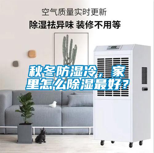 秋冬防濕冷，家里怎么除濕最好？