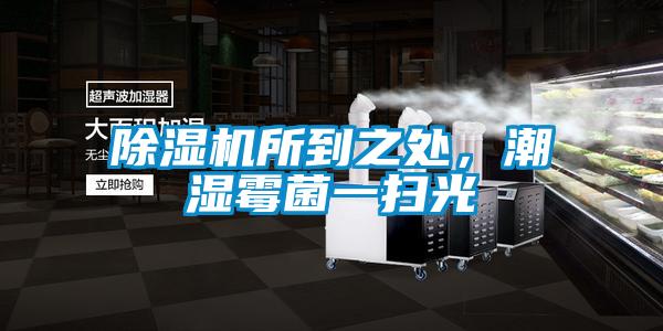 除濕機(jī)所到之處，潮濕霉菌一掃光