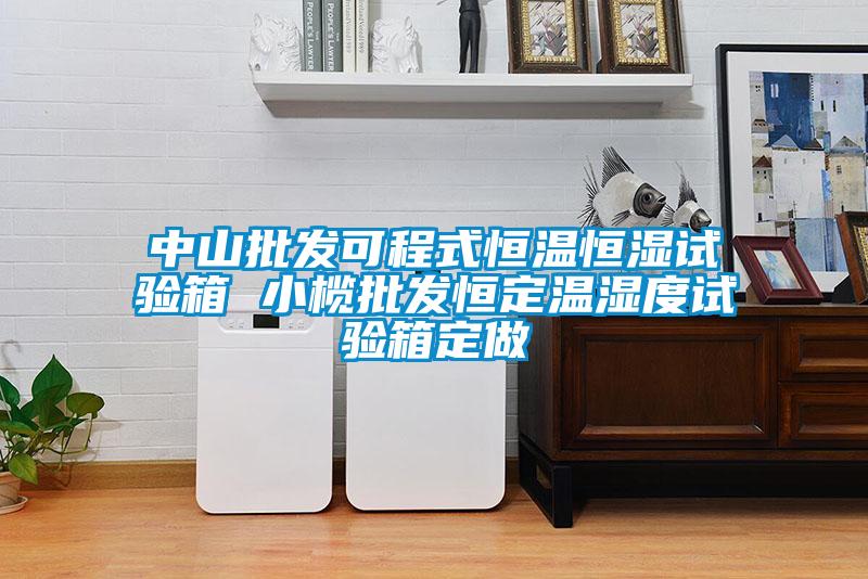 中山批發(fā)可程式恒溫恒濕試驗箱 小欖批發(fā)恒定溫濕度試驗箱定做