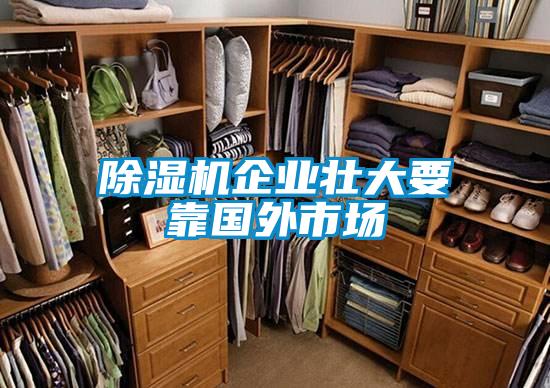 除濕機企業(yè)壯大要靠國外市場(chǎng)