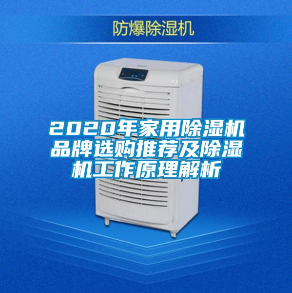 2020年家用除濕機(jī)品牌選購(gòu)?fù)扑]及除濕機(jī)工作原理解析