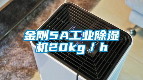 金剛5A工業(yè)除濕機(jī)20kg／h