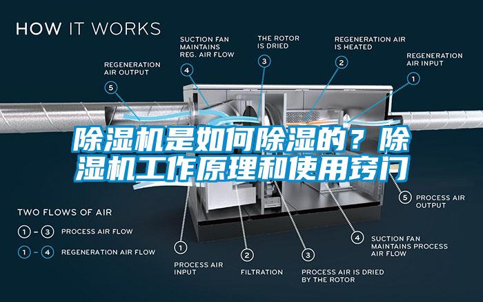 除濕機是如何除濕的？除濕機工作原理和使用竅門