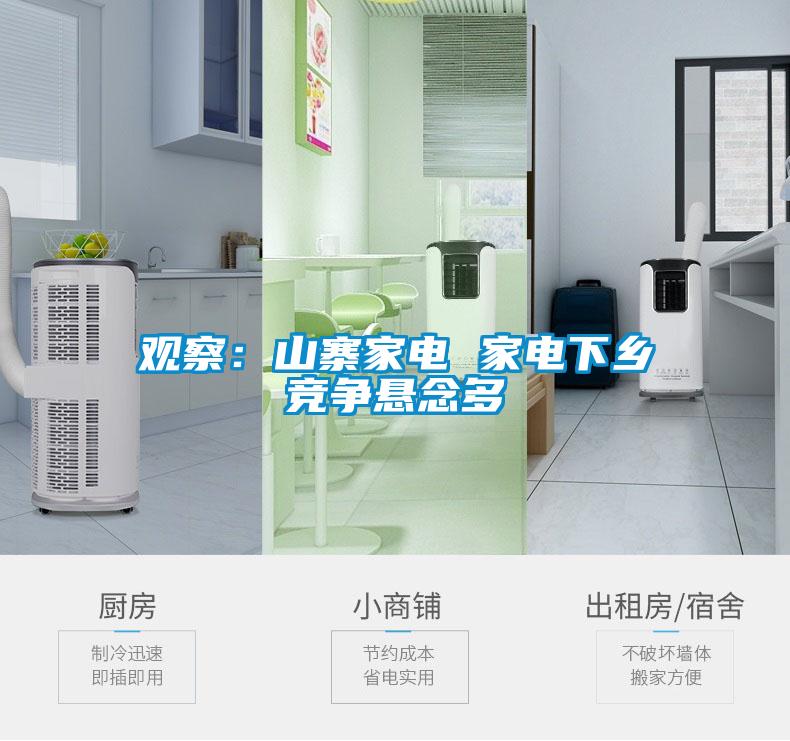 觀察：山寨家電 家電下鄉(xiāng)競爭懸念多