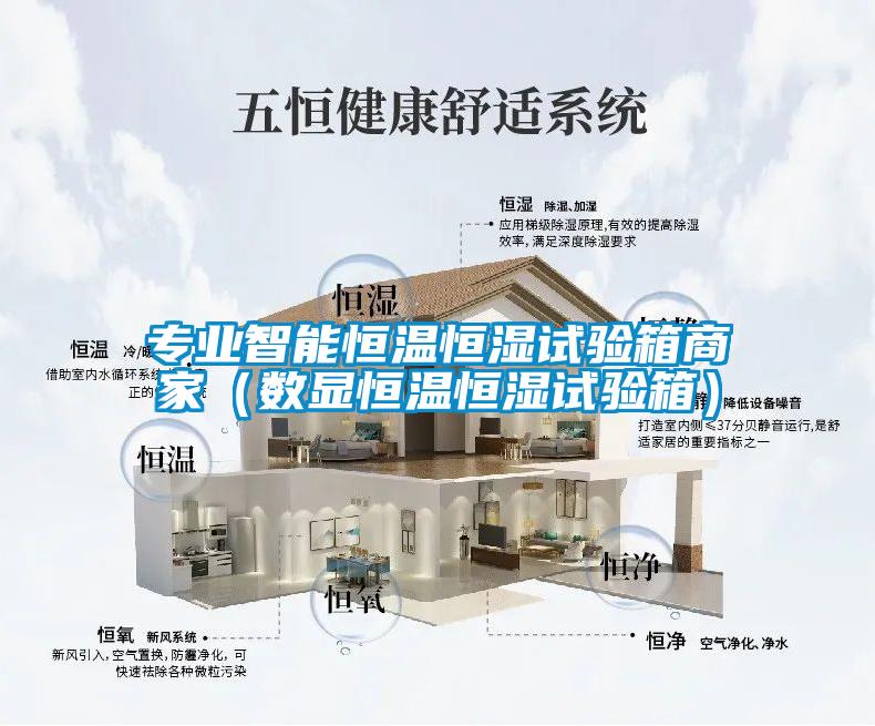 專(zhuān)業(yè)智能恒溫恒濕試驗箱商家（數顯恒溫恒濕試驗箱）