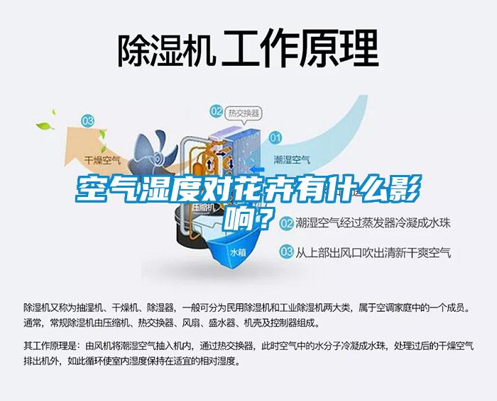 空氣濕度對(duì)花卉有什么影響？