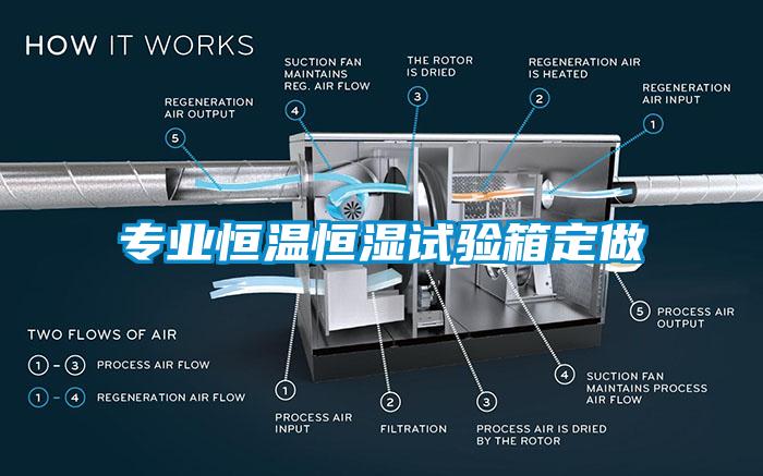 專業(yè)恒溫恒濕試驗(yàn)箱定做