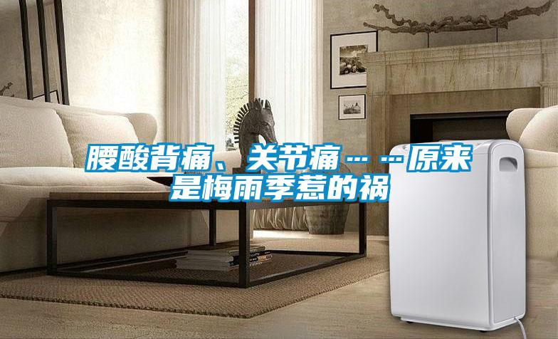 腰酸背痛、關(guān)節痛……原來(lái)是梅雨季惹的禍