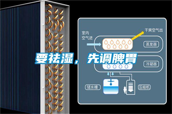 要祛濕，先調脾胃