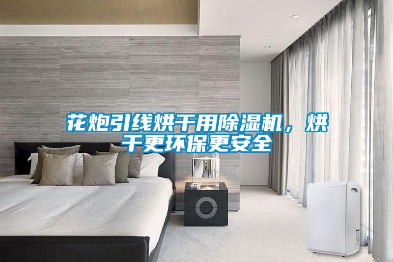 花炮引線烘干用除濕機，烘干更環(huán)保更安全