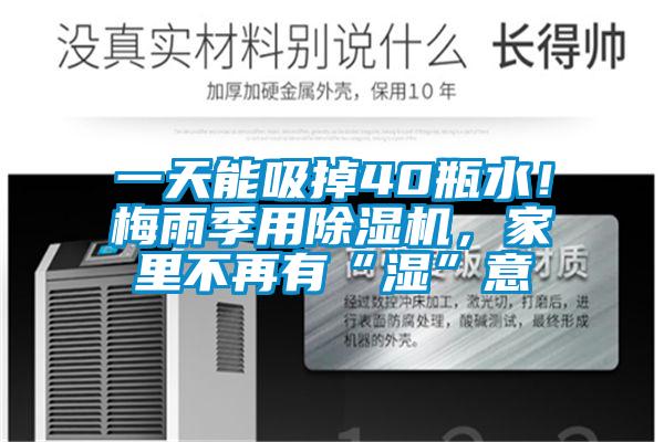一天能吸掉40瓶水！梅雨季用除濕機，家里不再有“濕”意