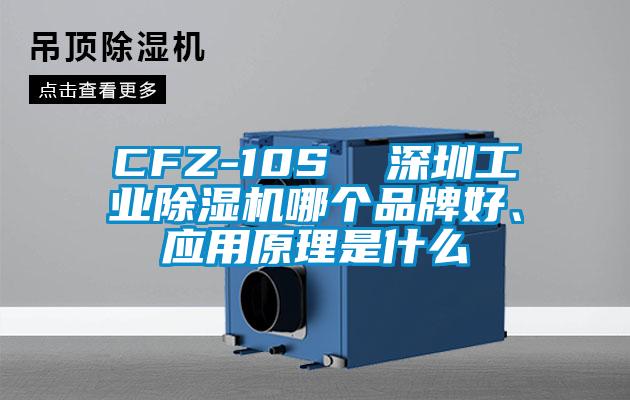 CFZ-10S  深圳工業(yè)除濕機哪個品牌好、應(yīng)用原理是什么