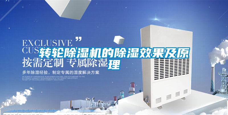 轉輪除濕機的除濕效果及原理