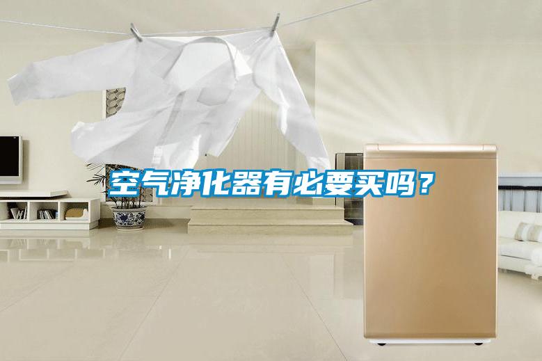 空氣凈化器有必要買嗎?