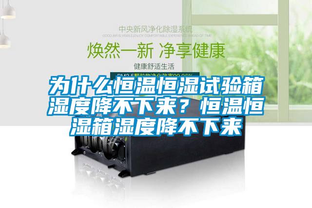 為什么恒溫恒濕試驗箱濕度降不下來(lái)？恒溫恒濕箱濕度降不下來(lái)