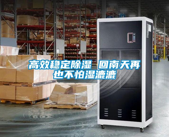 高效穩定除濕 回南天再也不怕濕漉漉