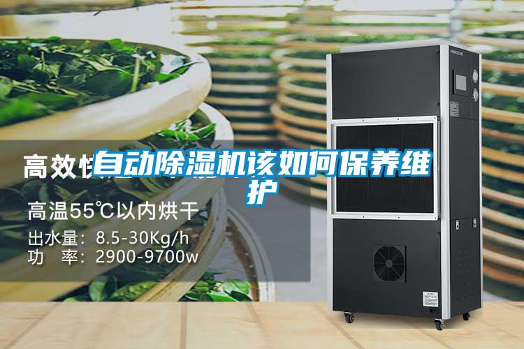 自動(dòng)除濕機(jī)該如何保養(yǎng)維護(hù)