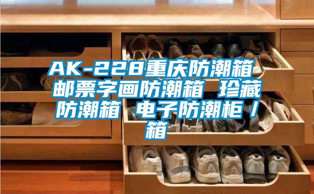 AK-228重慶防潮箱 郵票字畫(huà)防潮箱 珍藏防潮箱 電子防潮柜／箱
