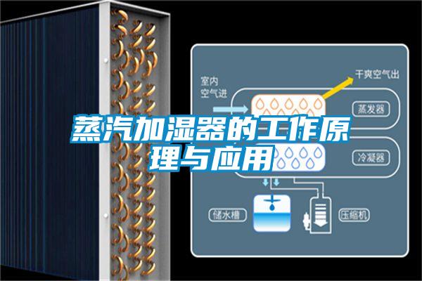 蒸汽加濕器的工作原理與應(yīng)用
