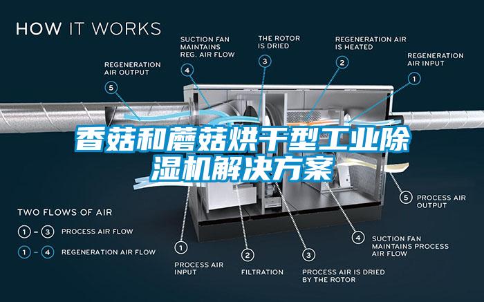 香菇和蘑菇烘干型工業(yè)除濕機解決方案