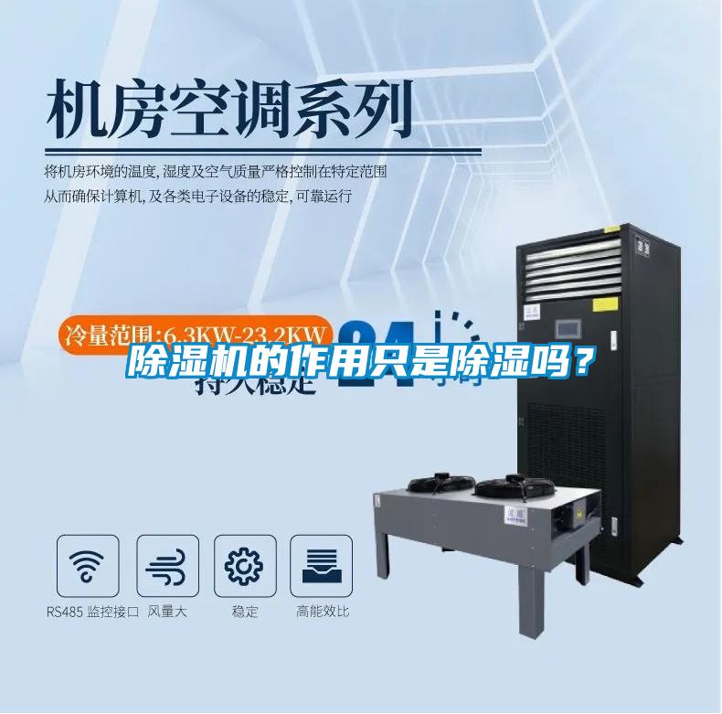 除濕機的作用只是除濕嗎？