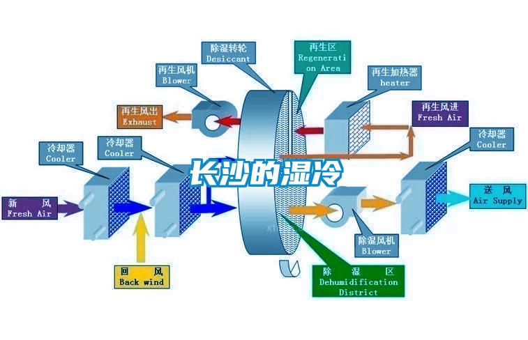 長(cháng)沙的濕冷