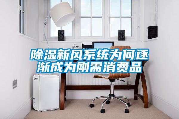 除濕新風(fēng)系統為何逐漸成為剛需消費品