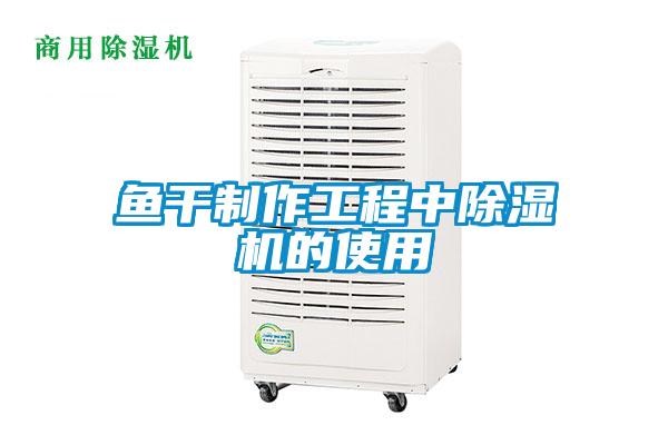 魚(yú)干制作工程中除濕機的使用