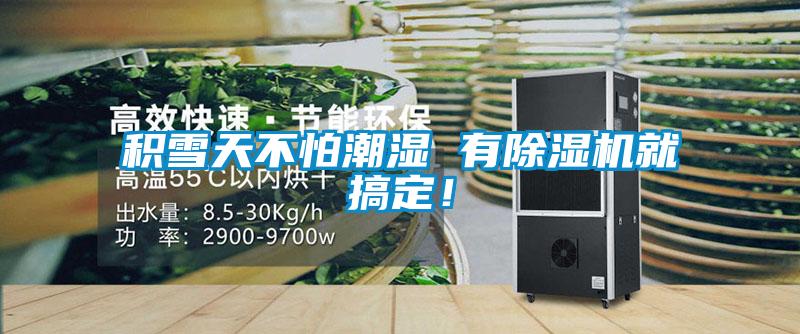 積雪天不怕潮濕 有除濕機就搞定！