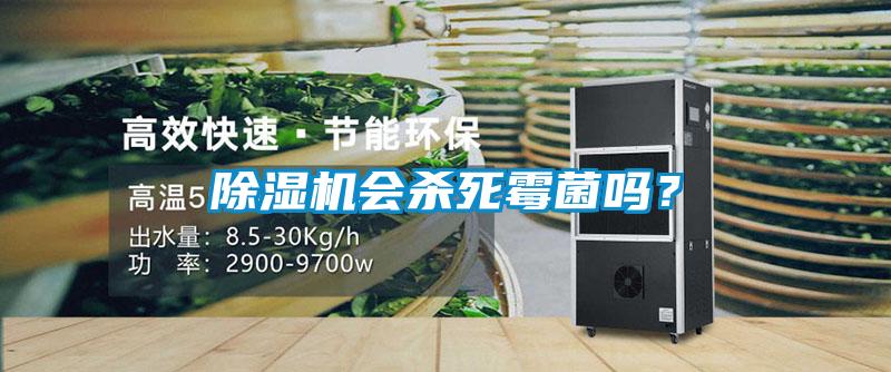 除濕機(jī)會殺死霉菌嗎？
