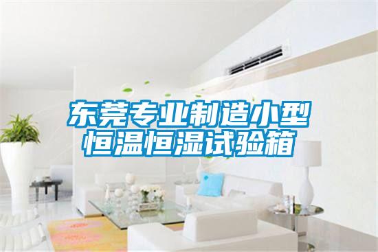 東莞專(zhuān)業(yè)制造小型恒溫恒濕試驗箱
