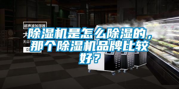 除濕機是怎么除濕的，那個除濕機品牌比較好？