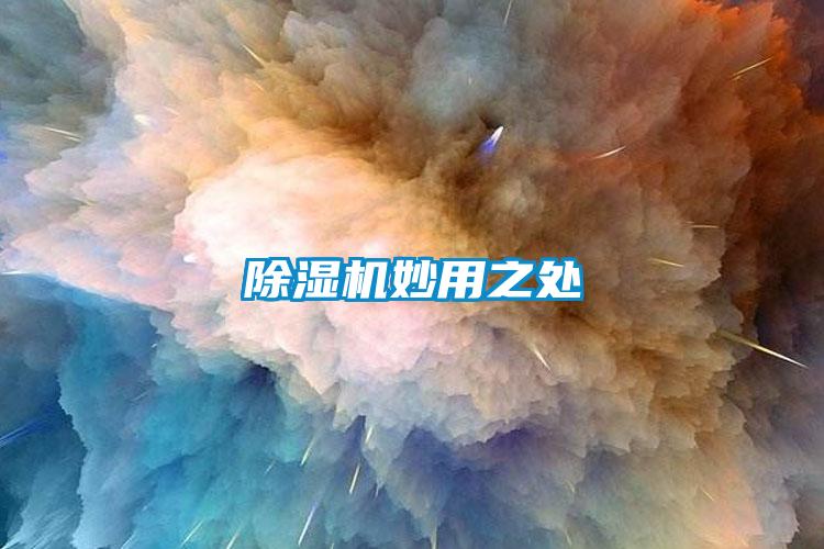 除濕機妙用之處