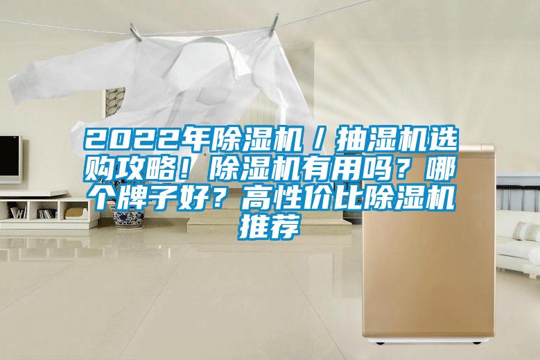 2022年除濕機／抽濕機選購攻略！除濕機有用嗎？哪個(gè)牌子好？高性?xún)r(jià)比除濕機推薦