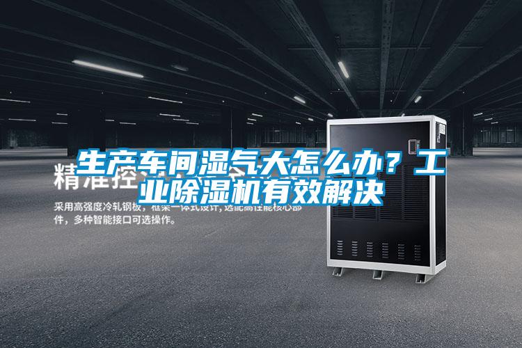 生產(chǎn)車間濕氣大怎么辦？工業(yè)除濕機(jī)有效解決