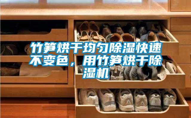 竹筍烘干均勻除濕快速不變色，用竹筍烘干除濕機