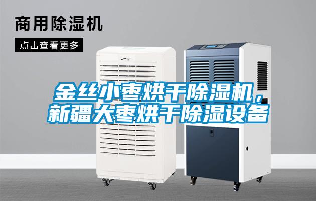 金絲小棗烘干除濕機(jī)，新疆大棗烘干除濕設(shè)備